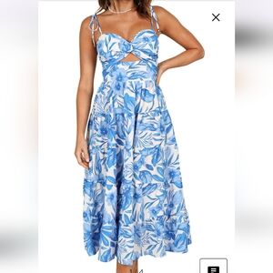 Petal & Pup Blue and White Floral Maxi Dress